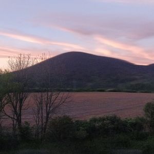 Meet your Posher, Maya